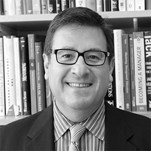 david nino, mit faculty 