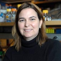 Angela Belcher