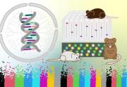 mice and a dna strand