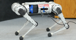 Mini cheetah robot developed by the Improbable AI Lab in MIT CSAIL
