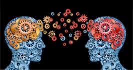 brain image