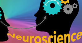 neuroscience 