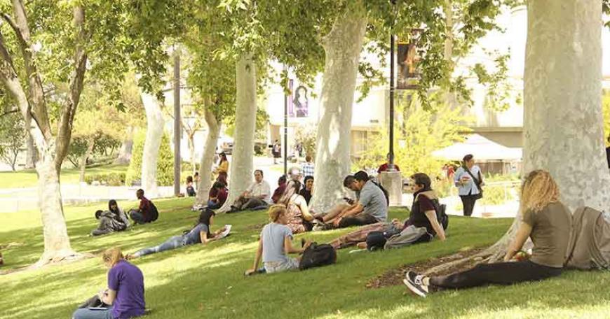 A Community for Open Education