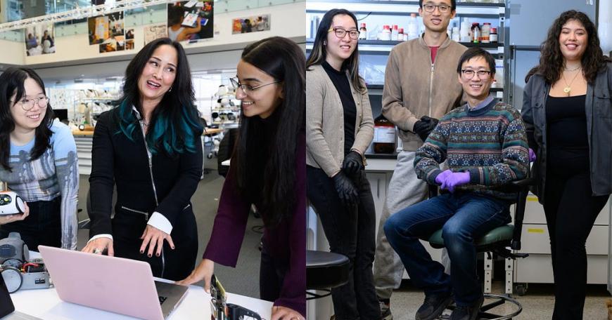 From large labs to small teams, mentorship thrives