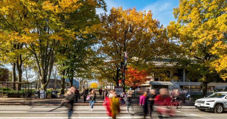 Fall back into learning with these six free online courses from MIT