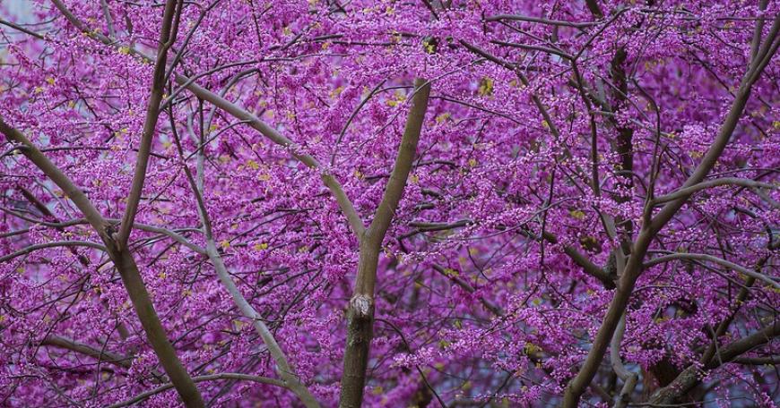 2022 MIT Teaching With Digital Technology Awards