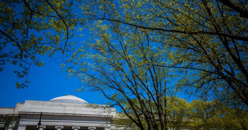 The impact of open education