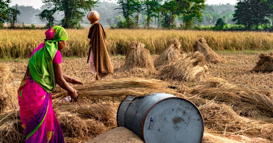 Image Description: Southeast Asian Women Farming. "Inside the MITx MicroMasters® Program in Data, Economics, and Development Policy (DEDP)"