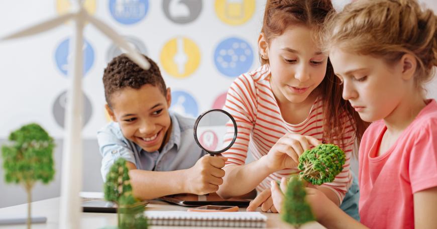 three students look at models of trees