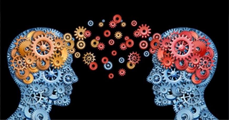 brain image