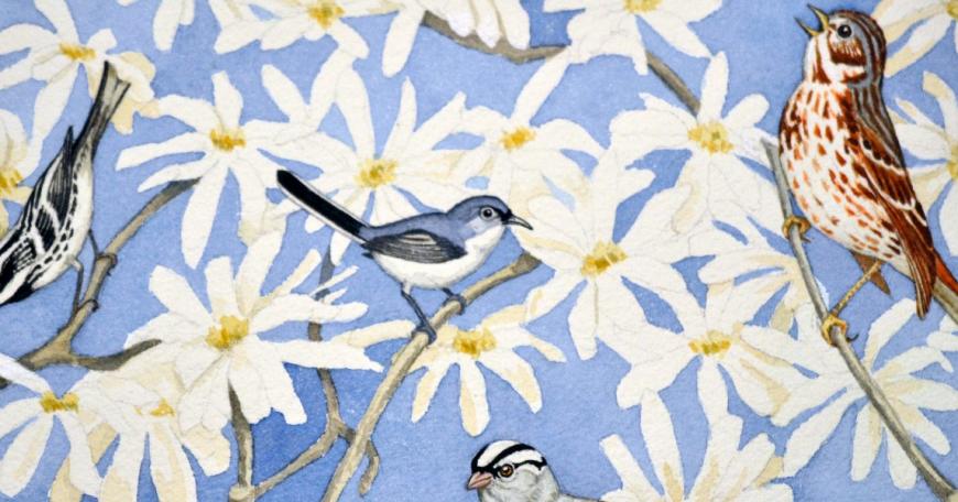 bird wallpaper 