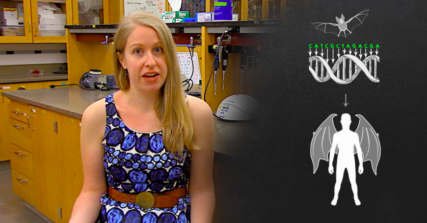 collaboration in curiosity 