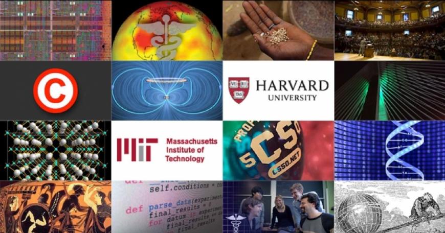 Covr image for the working papers released by MIT and Harvard
