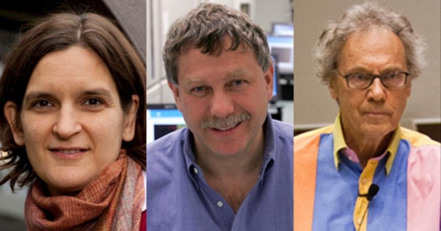 MIT Professors 