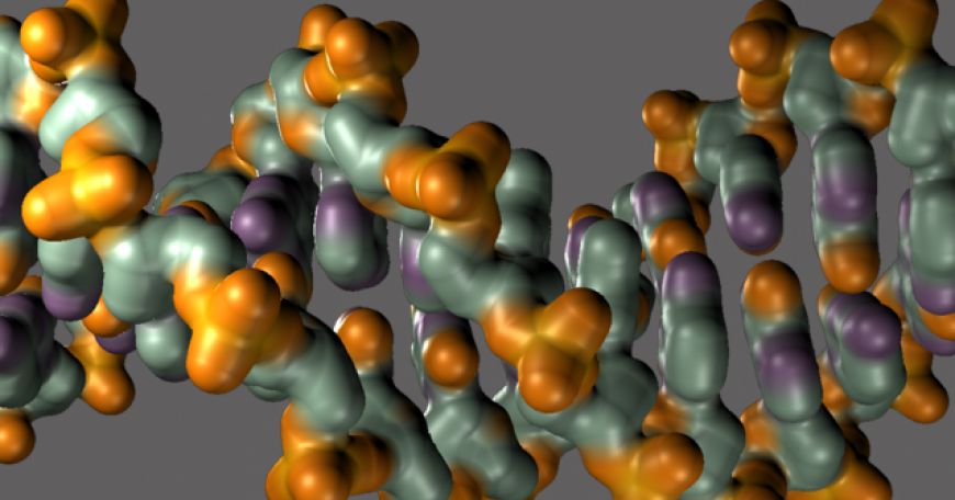 molecules
