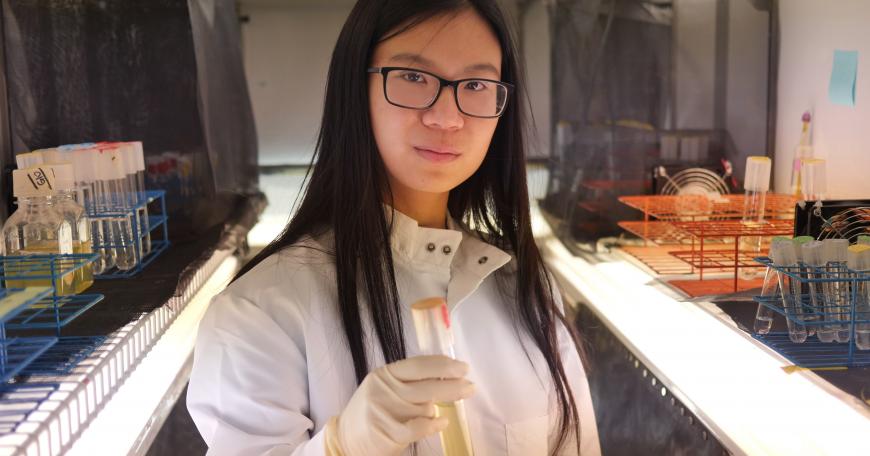 Biology major Rachel Shen sees what most of us can’t: the impurities in our water, the matrices of plant cells, and the invisible processes that cycle nutrients in the oceans.