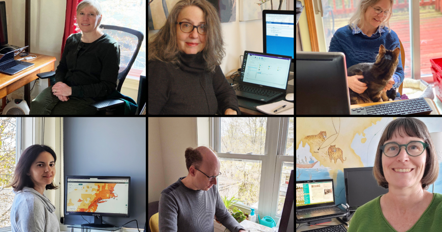Library staffers (clockwise from top left) Sue Kriegsman, Carol Schweigert, Felicity Walsh, Kari Smith, Matt Bernhardt, and Jennie Murack help keep library services running from their home offices.