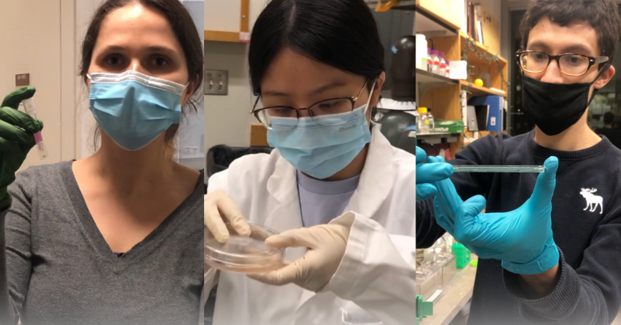 Director of Outreach Mandana Sassafar filmed graduate students and postdocs in labs during IAP in January, so that first-year undergraduates could observe the experiments. Left to right: Chantal Guegler, Li Wang, and Cesar Dominguez.