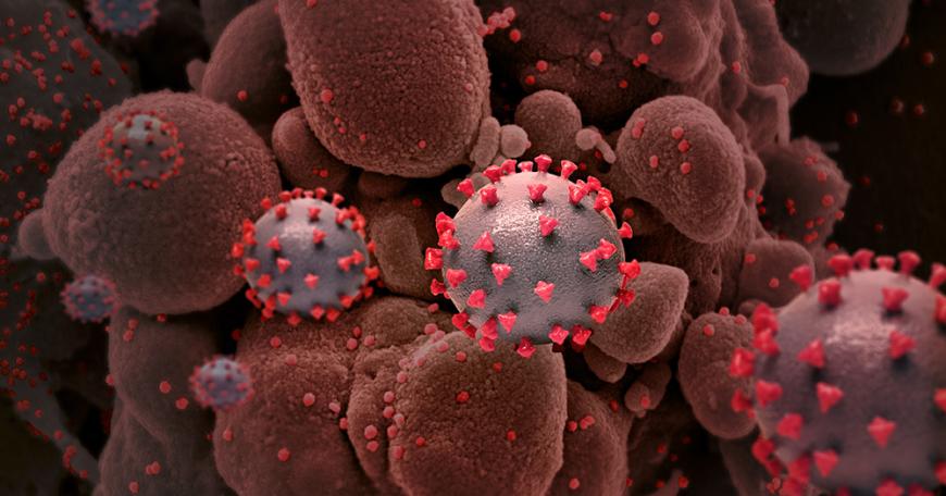 Creative rendition of SARS-COV-2 virus particles