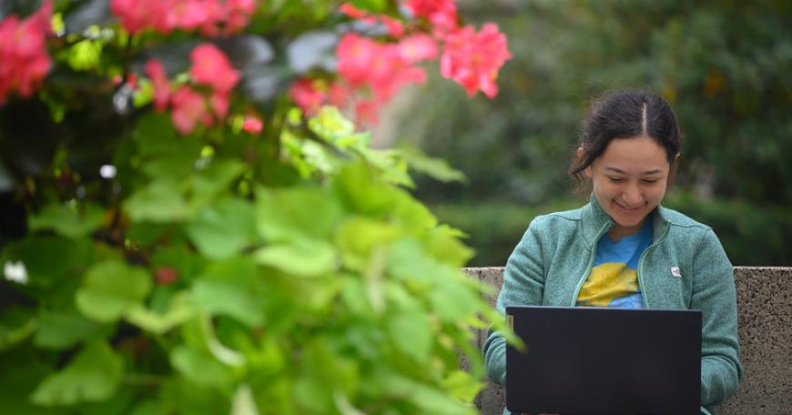A woman on a laptop with a pink and green flowering bush in the foreground