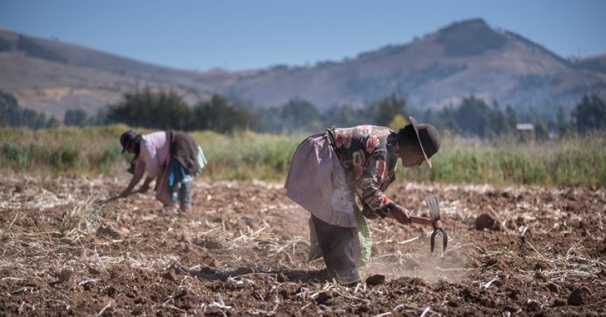 Women working on South American farm