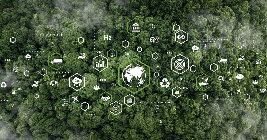 Overhead view of a forest with sustainability related icons overlaid