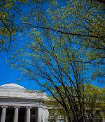 The impact of open education
