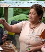 Colombian farmers demonstrate the coffee-growing process to D-Lab students.