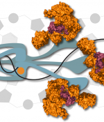 DNA video from MIT Biology 