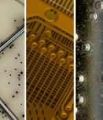 big scientific discoveries 