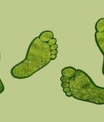 Ory Zik's Carbon Footprints