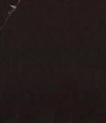 Walter Lewin performs a classic demonstration