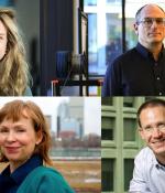 The 2020 MacVicar Faculty Fellows are: (clockwise from top left) Polina Anikeeva, Jacob White, William Tisdale, and Mary Fuller.