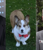 Left to right: Department of Mathematics Professor Alan Edelman, his co-instructor and family Corgi Philip, and visiting professor and longtime Julia lab collaborator David Sanders have altered their computational thinking course to encourage input on COVID-19 responses. 