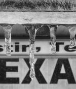 Taking a Systems Approach to Global Supply Chains with Dr. Chris Caplice and Dr. Bruce Cameron