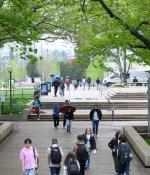 MIT students walking on campus