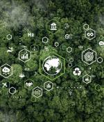 Overhead view of a forest with sustainability related icons overlaid