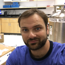 MIT digital learning lab 